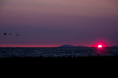 Iona Beach Richmond