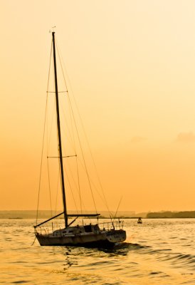 lone sail boat