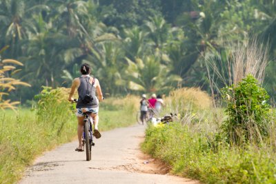 Paddi Field Bike Excursion, Galle Sri Lanka