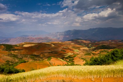 Dongchuan Red Earth