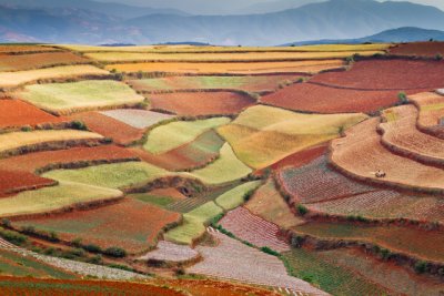 Dongchuan Red Earth