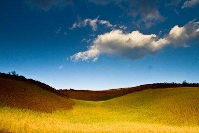 Dongchuan Red Soil, Yunnan China