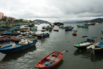 tranquil harbour 