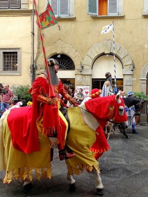 Les nobles chevaliers