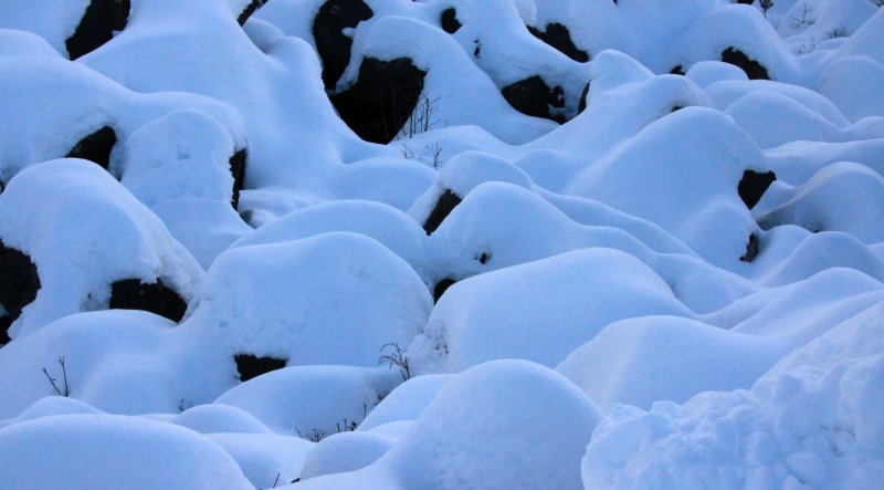 MOUNT ASAMA - JOSHINETSUKOGEN NATIONAL PARK JAPAN (91).JPG