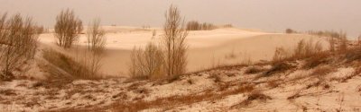 KULUN QI, INNER MONGOLIA - DUNE WALK IN THE GOBI DESERT EDGE (13).JPG