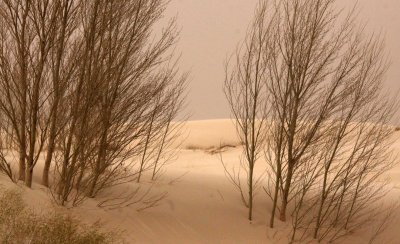 KULUN QI, INNER MONGOLIA - DUNE WALK IN THE GOBI DESERT EDGE (29).JPG