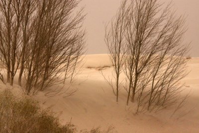 KULUN QI, INNER MONGOLIA - DUNE WALK IN THE GOBI DESERT EDGE (32).JPG