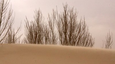 KULUN QI, INNER MONGOLIA - DUNE WALK IN THE GOBI DESERT EDGE (35).JPG