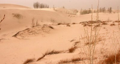 KULUN QI, INNER MONGOLIA - DUNE WALK IN THE GOBI DESERT EDGE (39).JPG