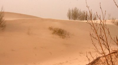 KULUN QI, INNER MONGOLIA - DUNE WALK IN THE GOBI DESERT EDGE (56).JPG