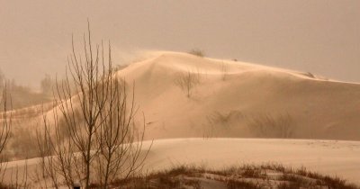 KULUN QI, INNER MONGOLIA - DUNE WALK IN THE GOBI DESERT EDGE (67).JPG