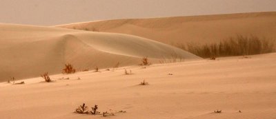 KULUN QI, INNER MONGOLIA - DUNE WALK IN THE GOBI DESERT EDGE (69).JPG