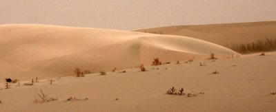 KULUN QI, INNER MONGOLIA - DUNE WALK IN THE GOBI DESERT EDGE (71).JPG
