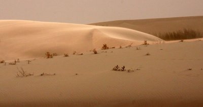 KULUN QI, INNER MONGOLIA - DUNE WALK IN THE GOBI DESERT EDGE (72).JPG