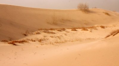 KULUN QI, INNER MONGOLIA - DUNE WALK IN THE GOBI DESERT EDGE (78).JPG