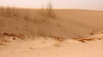 KULUN QI, INNER MONGOLIA - DUNE WALK IN THE GOBI DESERT EDGE (79).JPG