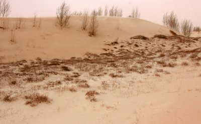 KULUN QI, INNER MONGOLIA - DUNE WALK IN THE GOBI DESERT EDGE (8).JPG