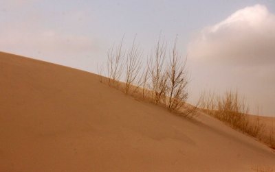 KULUN QI, INNER MONGOLIA - DUNE WALK IN THE GOBI DESERT EDGE (83).JPG
