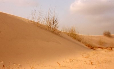 KULUN QI, INNER MONGOLIA - DUNE WALK IN THE GOBI DESERT EDGE (92).JPG