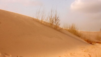 KULUN QI, INNER MONGOLIA - DUNE WALK IN THE GOBI DESERT EDGE (93).JPG