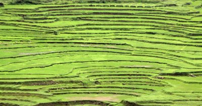 SICHUAN - COUNTRYSIDE NEAR WAWU SHAN - CHINA ALIVE 2011 (16).JPG