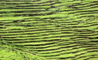 SICHUAN - COUNTRYSIDE NEAR WAWU SHAN - CHINA ALIVE 2011 (18).JPG