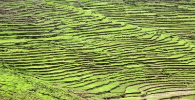 SICHUAN - COUNTRYSIDE NEAR WAWU SHAN - CHINA ALIVE 2011 (5).JPG