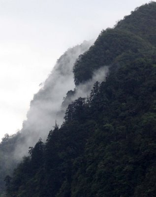 WAWU SHAN MOUNTAIN GEOPARK - SICHUAN CHINA - CHINA ALIVE 2011 (4).JPG