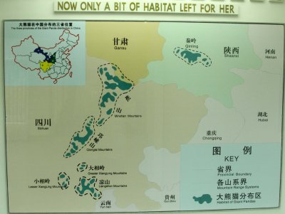 URSID - GIANT PANDA - RANGE MAP.JPG