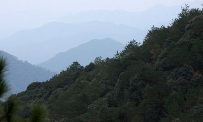 MEIHUASHAN - FUJIAN CHINA (35).JPG