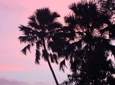 KAENG KRACHAN NATIONAL PARK THAILAND - FOREST SCENES (41).JPG