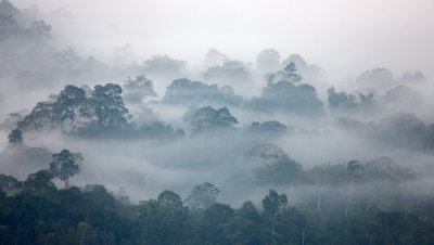 KAENG KRACHAN NATIONAL PARK THAILAND - THALE MOG (9).JPG