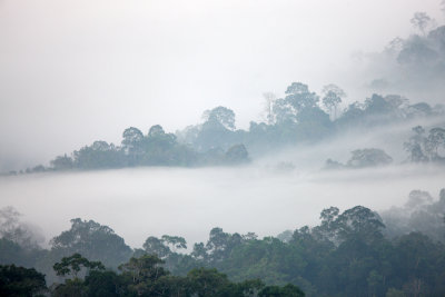 KAENG KRACHAN NATIONAL PARK THAILAND - THALE MOG (13).JPG