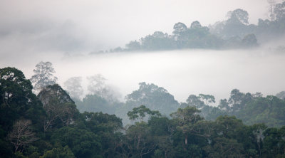 KAENG KRACHAN NATIONAL PARK THAILAND - THALE MOG (15).JPG