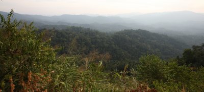 KAENG KRACHAN NP THAILAND - FOREST SCENES (21).JPG