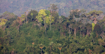 KAENG KRACHAN NP THAILAND - FOREST SCENES (23).JPG