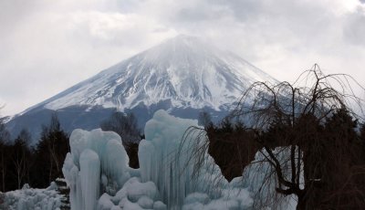 MOUNT FUJI - AS SEEN FROM SAIKOYACHONOMORI PARK JAPAN (6).JPG