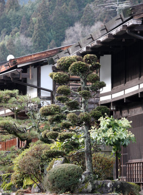 g4/62/942562/3/141365909.UxODda8r.jpg