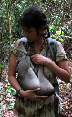 SANGHA RESERVE - BAAKA HUNT - CENTRAL AFRICAN REPUBLIC (35).JPG