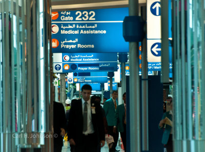 g4/62/958862/3/141165252.usQIBzcj.jpg