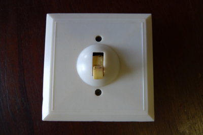 Coltone light switch.
