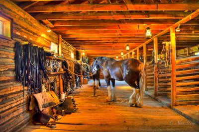 Horse Barn.jpg