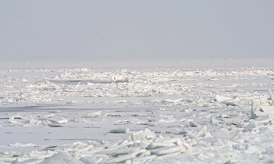 kruiend ijs in de Gouwzee