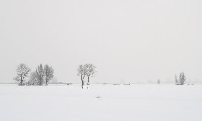 Polderlandschap in de sneeuw