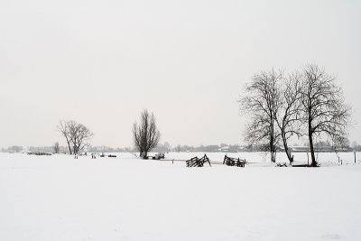 Polderlandschap in de sneeuw
