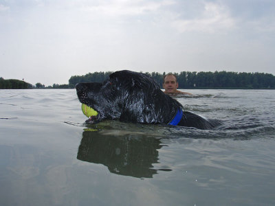 Sipke - eind juli 2008