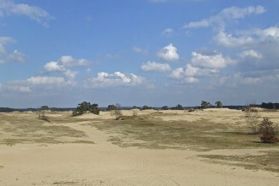 Kootwijkerzand