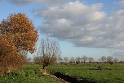 Herfst in de polder