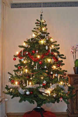 Kerstboom 2011